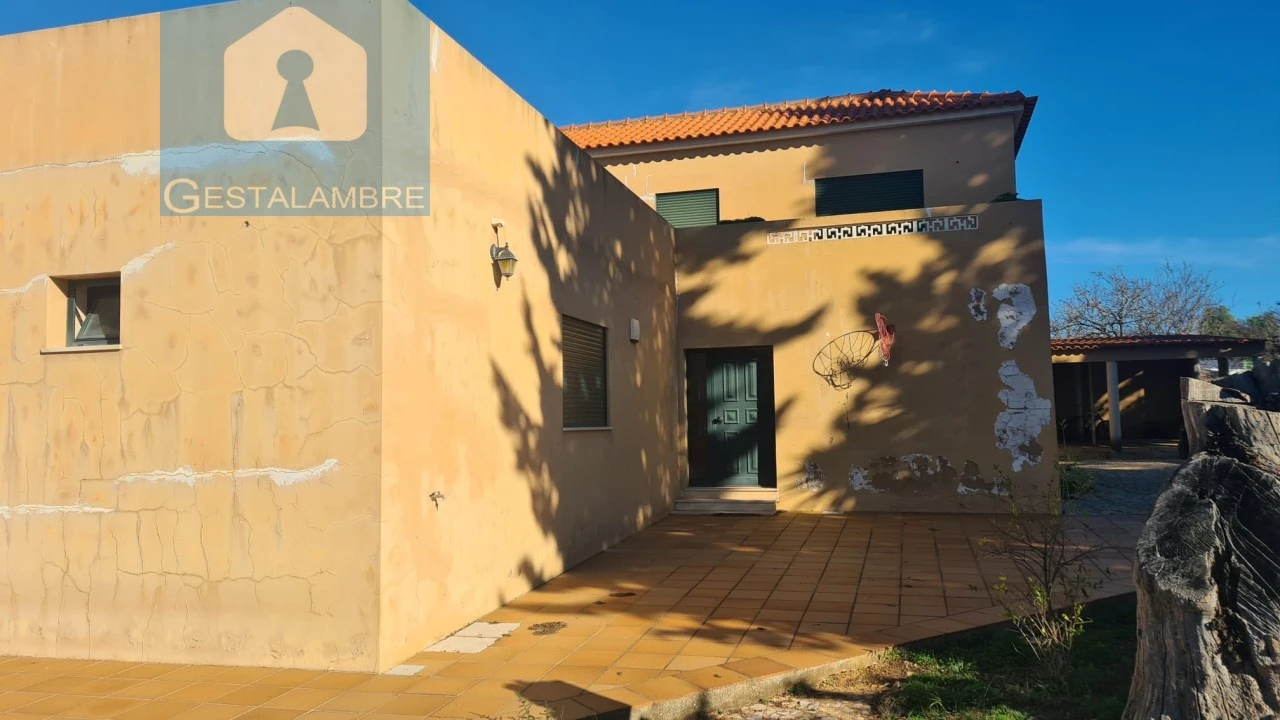 Quinta T5 para Venda em Guia Foto 17