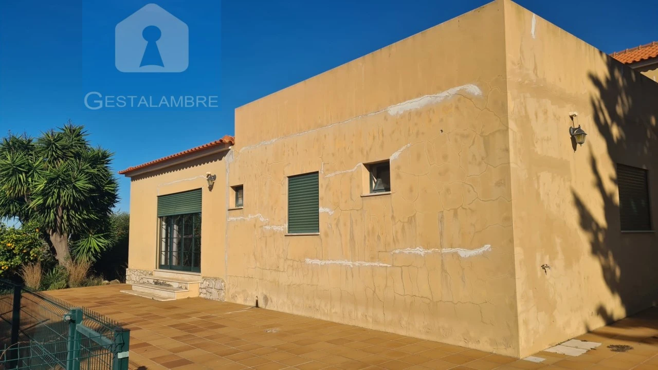 Quinta T5 para Venda em Guia Foto 13