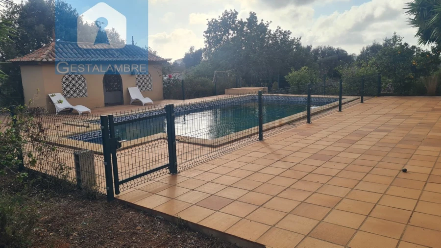 Quinta T5 para Venda em Guia Foto 19