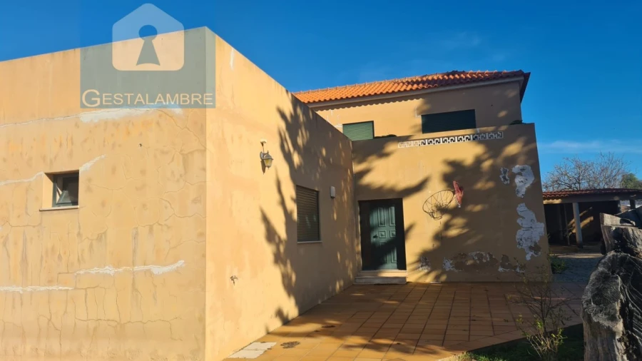 Quinta T5 para Venda em Guia Foto 26