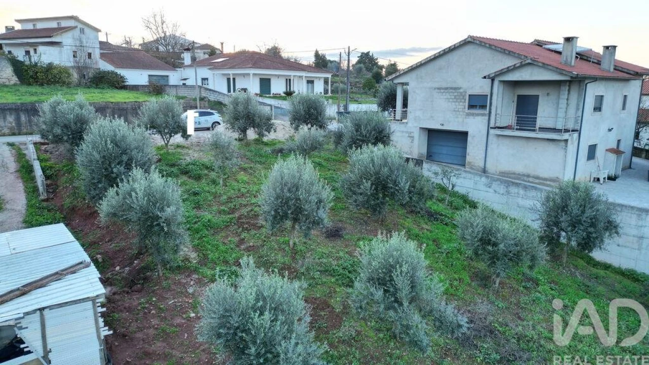 Terreno para Venda em São Miguel, Santa Eufémia e Rabaçal Foto 23
