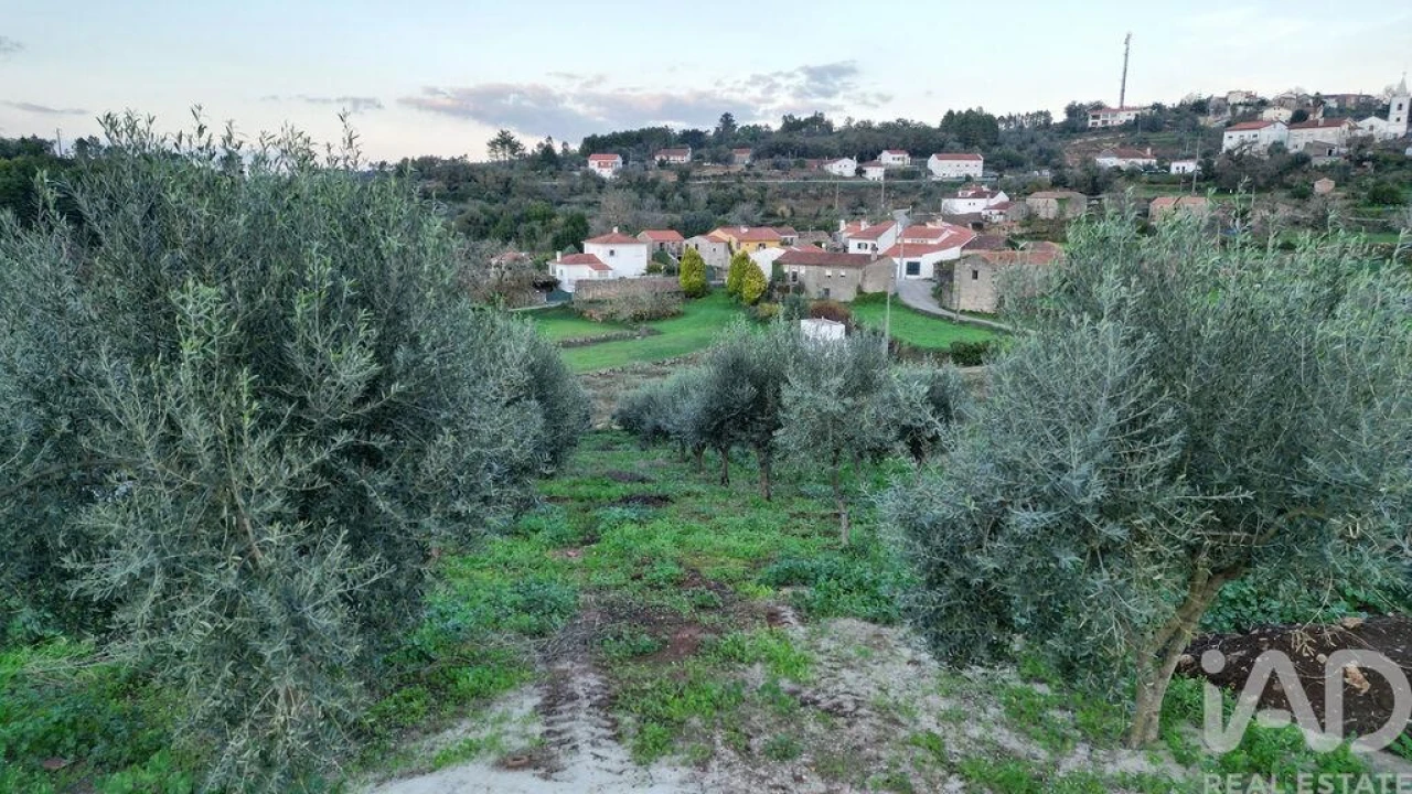Terreno para Venda em São Miguel, Santa Eufémia e Rabaçal Foto 24