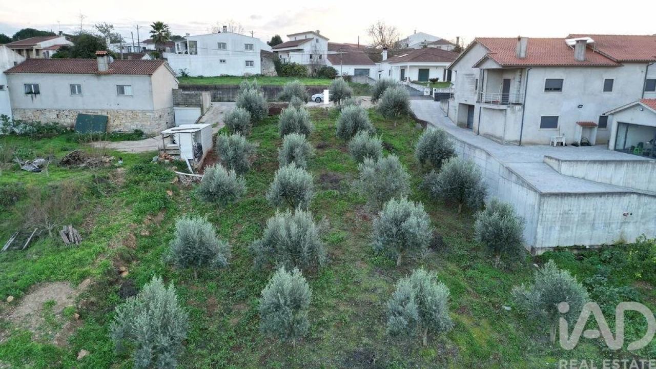 Terreno para Venda em São Miguel, Santa Eufémia e Rabaçal Foto 19