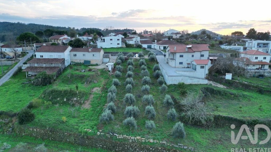Terreno para Venda em São Miguel, Santa Eufémia e Rabaçal Foto 22