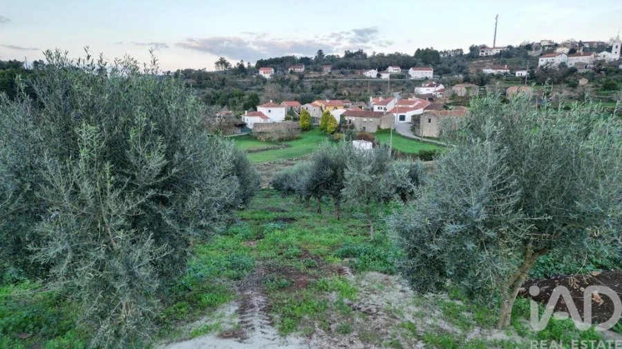 Terreno para Venda em São Miguel, Santa Eufémia e Rabaçal Foto 24