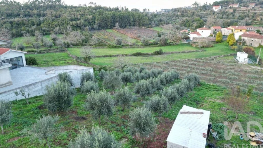 Terreno para Venda em São Miguel, Santa Eufémia e Rabaçal Foto 17