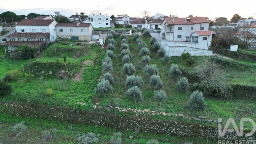Terreno para Venda em São Miguel, Santa Eufémia e Rabaçal Foto 20