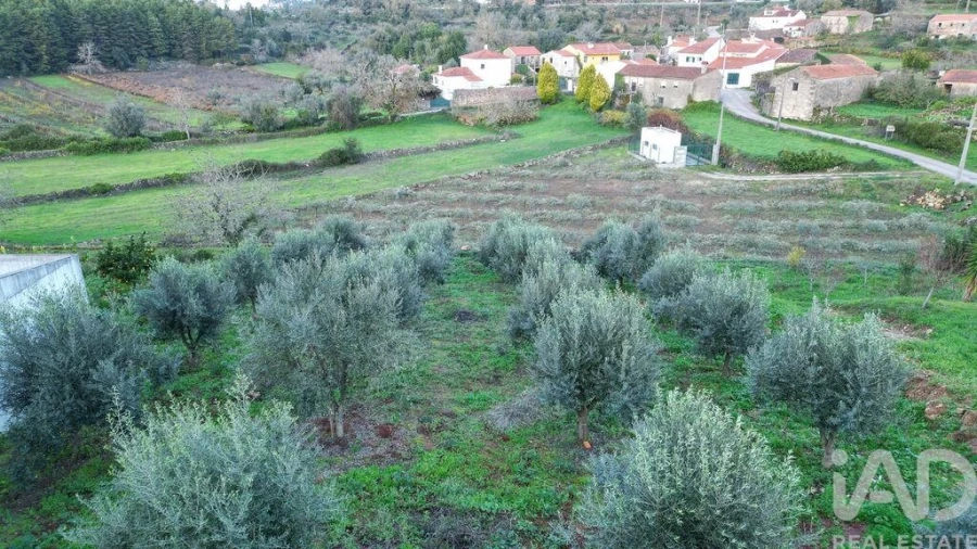 Terreno para Venda em São Miguel, Santa Eufémia e Rabaçal Foto 18