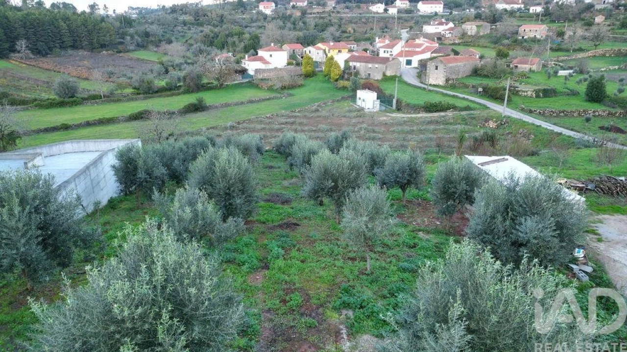 Terreno para Venda em São Miguel, Santa Eufémia e Rabaçal Foto 25