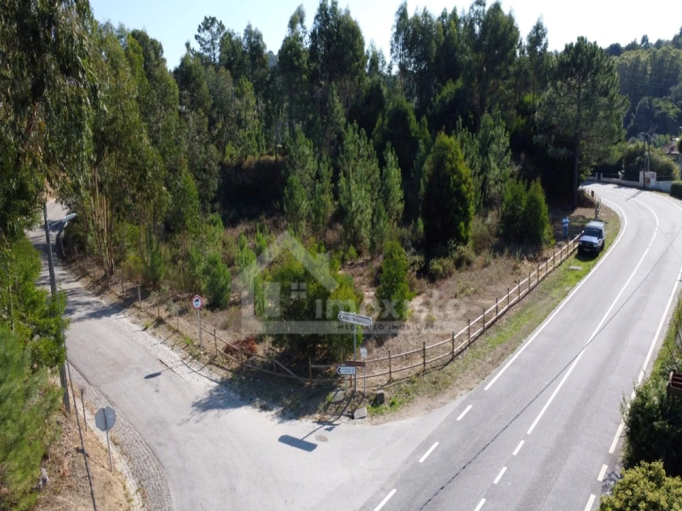 Terreno Agricola ou Rústico para Venda em Figueiró dos Vinhos e Bairradas Foto 1