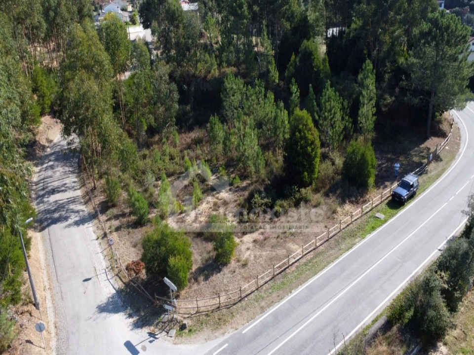Terreno Agricola ou Rústico para Venda em Figueiró dos Vinhos e Bairradas Foto 3