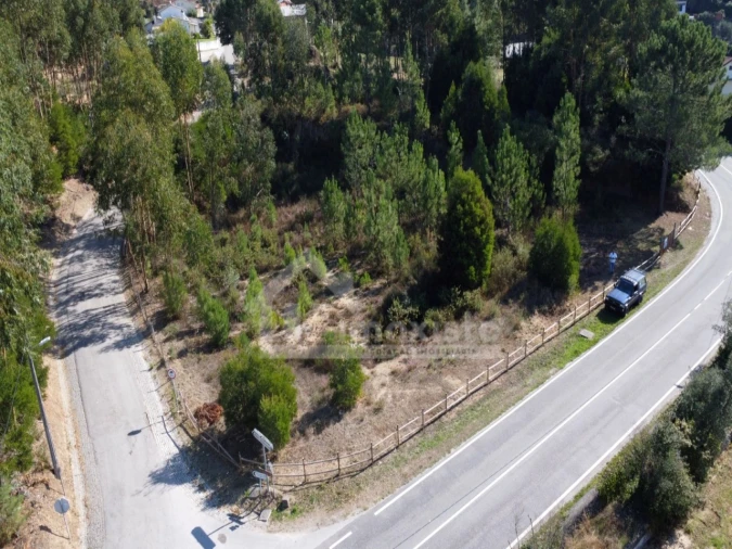 Terreno Agricola ou Rústico para Venda em Figueiró dos Vinhos e Bairradas Foto 3