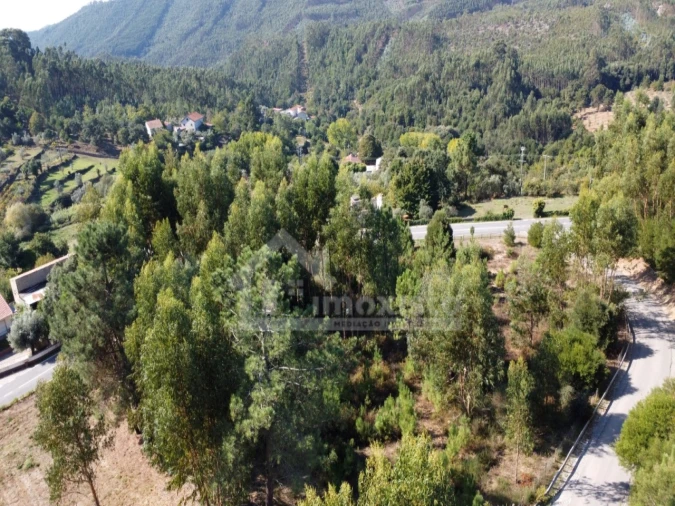 Terreno Agricola ou Rústico para Venda em Figueiró dos Vinhos e Bairradas Foto 4