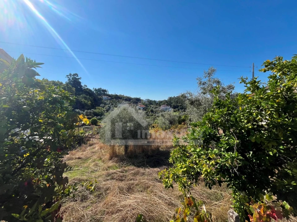 Terreno para Venda em Figueiró dos Vinhos e Bairradas Foto 2