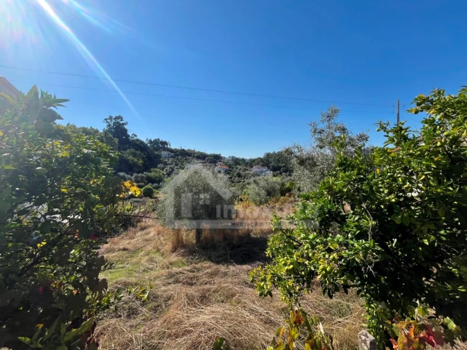 Terreno para Venda em Figueiró dos Vinhos e Bairradas Foto 2
