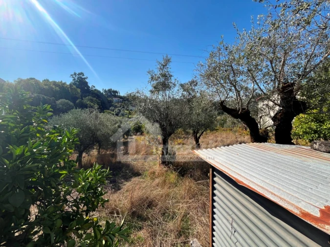 Terreno para Venda em Figueiró dos Vinhos e Bairradas Foto 3