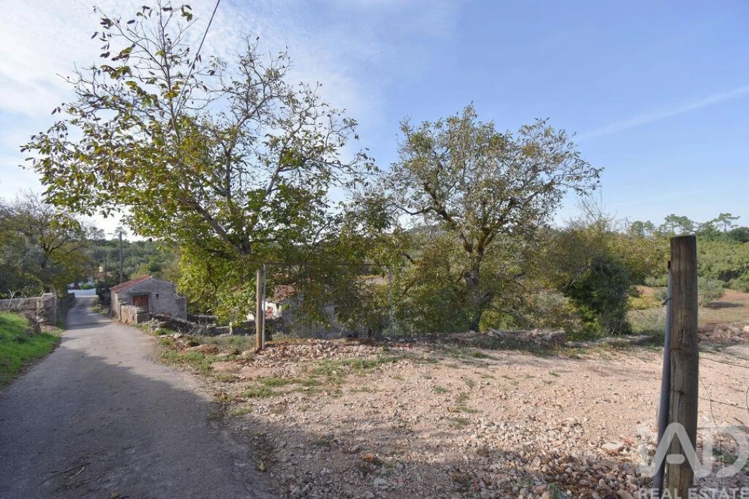 Terreno para Venda em São Miguel, Santa Eufémia e Rabaçal Foto 7