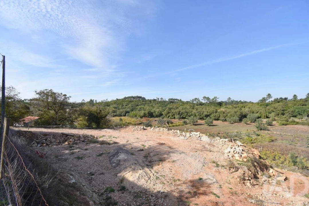 Terreno para Venda em São Miguel, Santa Eufémia e Rabaçal Foto 9