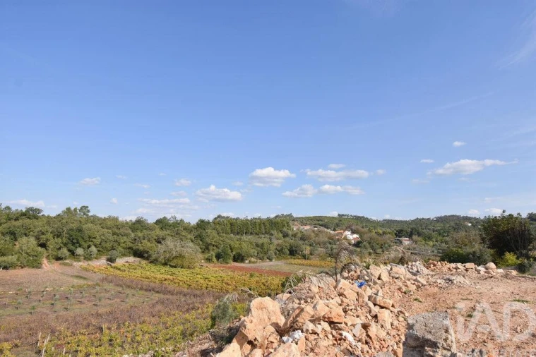Terreno para Venda em São Miguel, Santa Eufémia e Rabaçal Foto 12