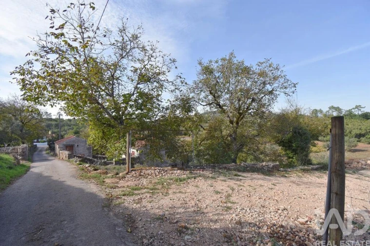 Terreno para Venda em São Miguel, Santa Eufémia e Rabaçal Foto 7