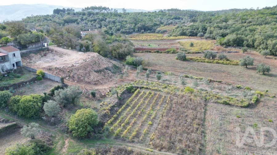 Terreno para Venda em São Miguel, Santa Eufémia e Rabaçal Foto 3