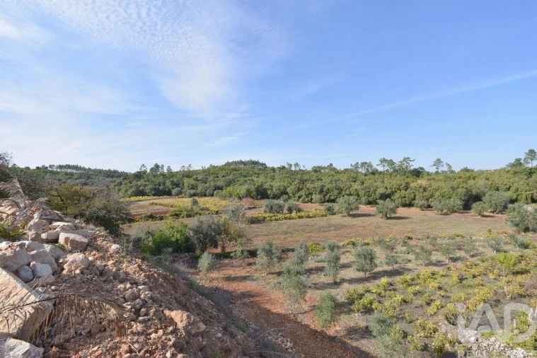 Terreno para Venda em São Miguel, Santa Eufémia e Rabaçal Foto 14