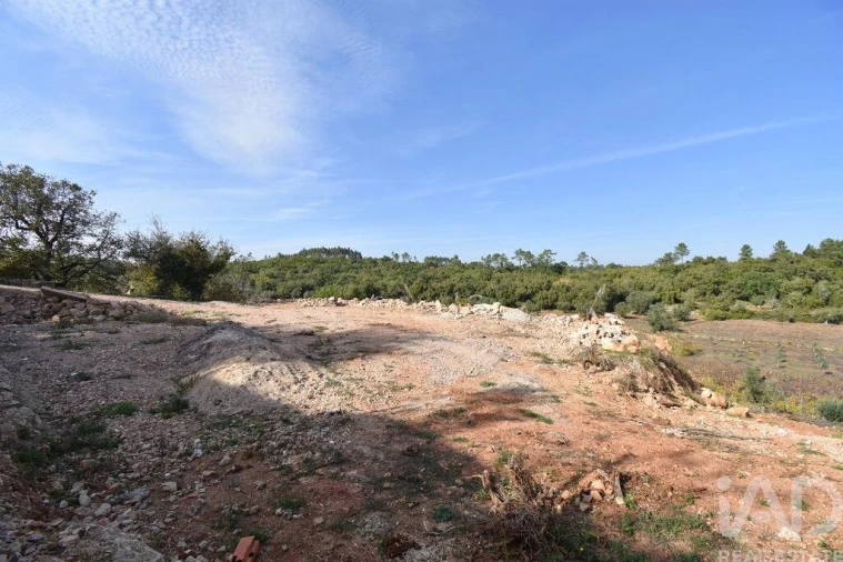 Terreno para Venda em São Miguel, Santa Eufémia e Rabaçal Foto 17