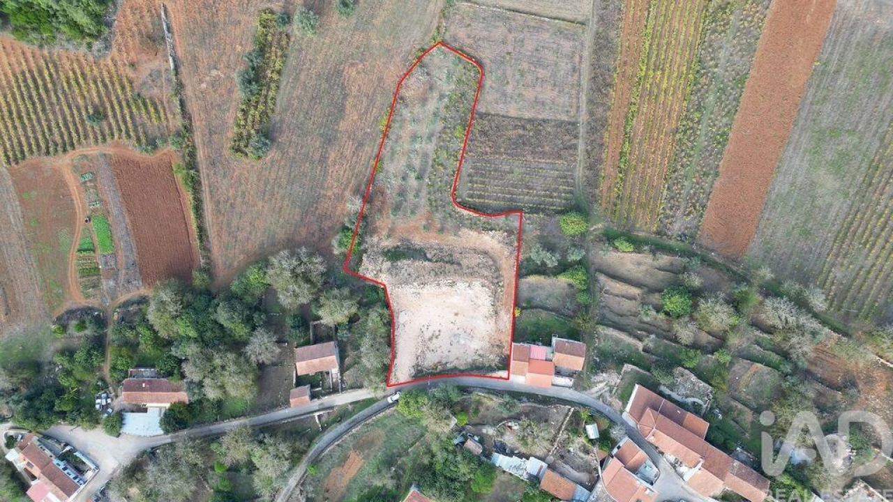 Terreno para Venda em São Miguel, Santa Eufémia e Rabaçal Foto 1