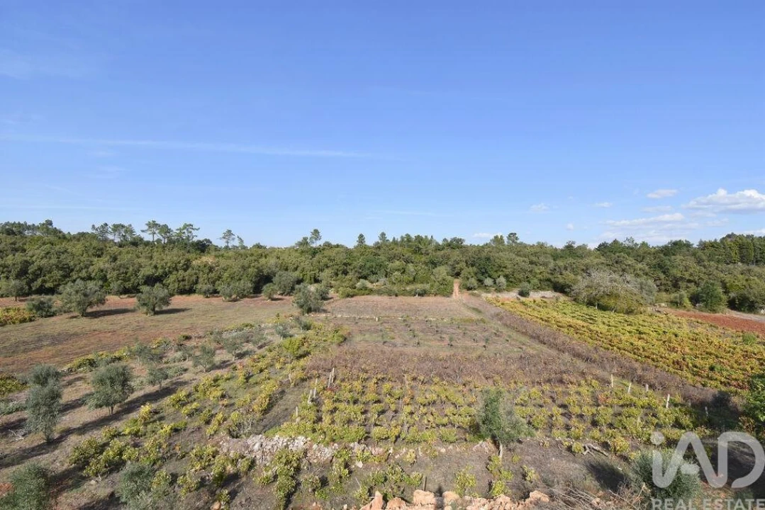 Terreno para Venda em São Miguel, Santa Eufémia e Rabaçal Foto 15
