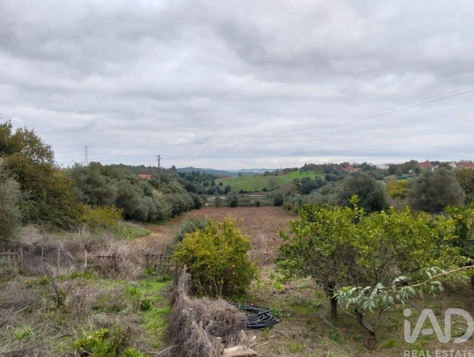 Moradia T4 para Venda em Povoa da Isenta Foto 26
