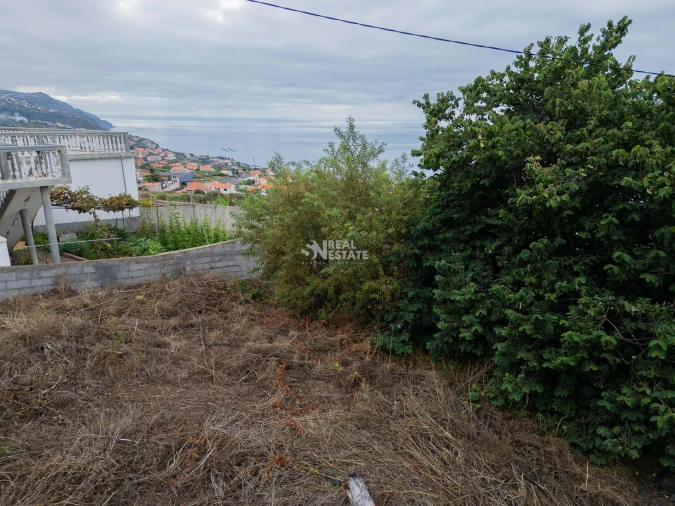 Terreno para Venda em Estreito da Calheta Foto 24