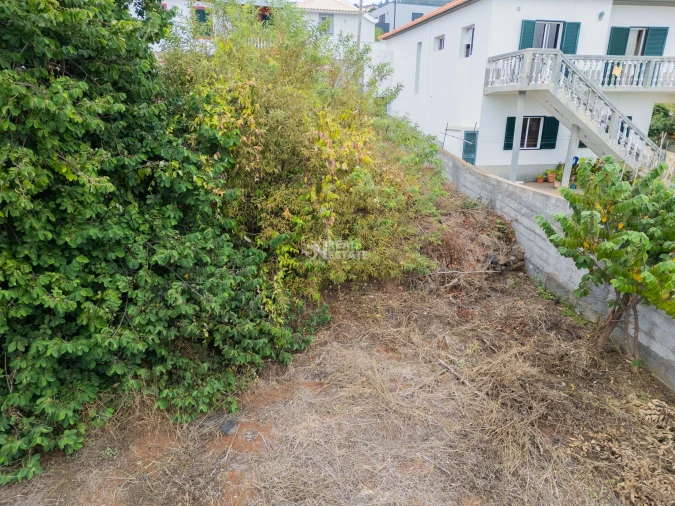 Terreno para Venda em Estreito da Calheta Foto 21