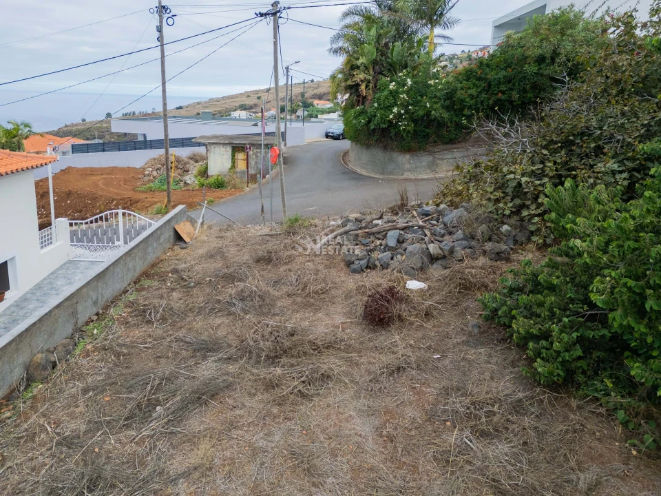 Terreno para Venda em Estreito da Calheta Foto 6