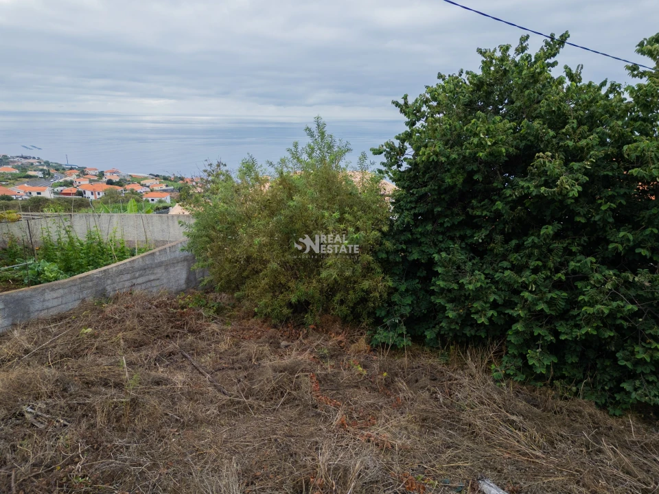Terreno para Venda em Estreito da Calheta Foto 23
