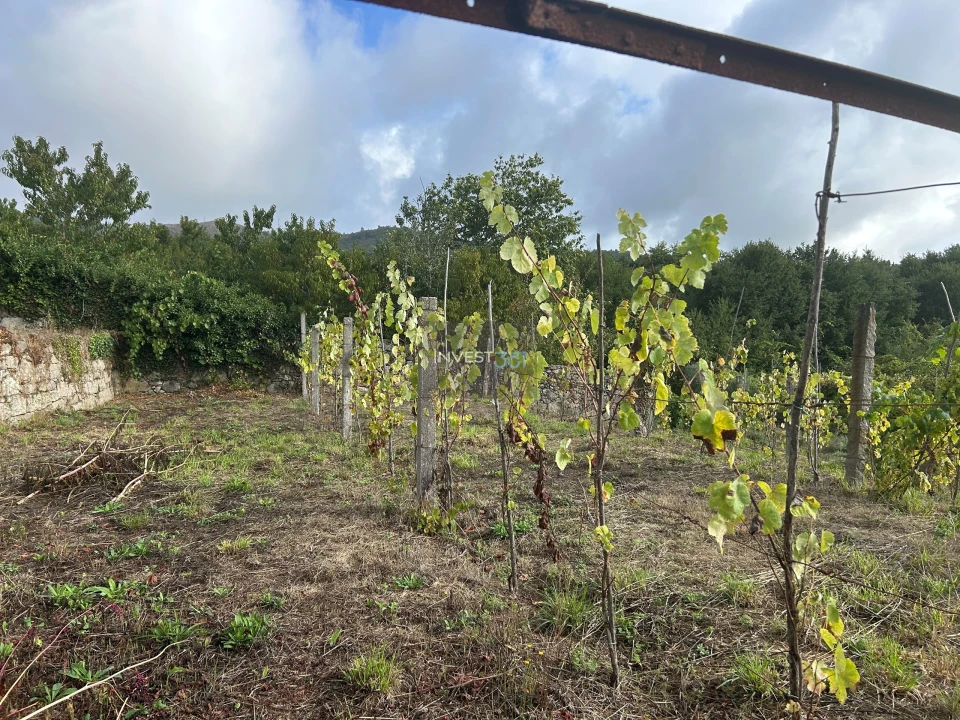 Moradia T4 para Venda em Covas Foto 11