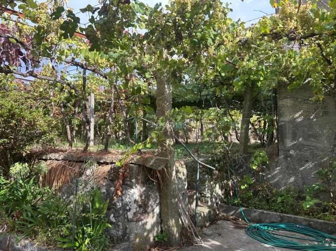 Moradia T4 para Venda em Covas Foto 2