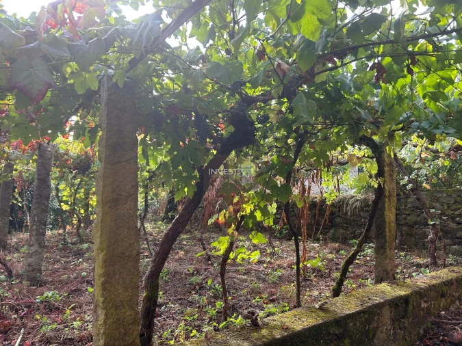 Moradia T4 para Venda em Covas Foto 8