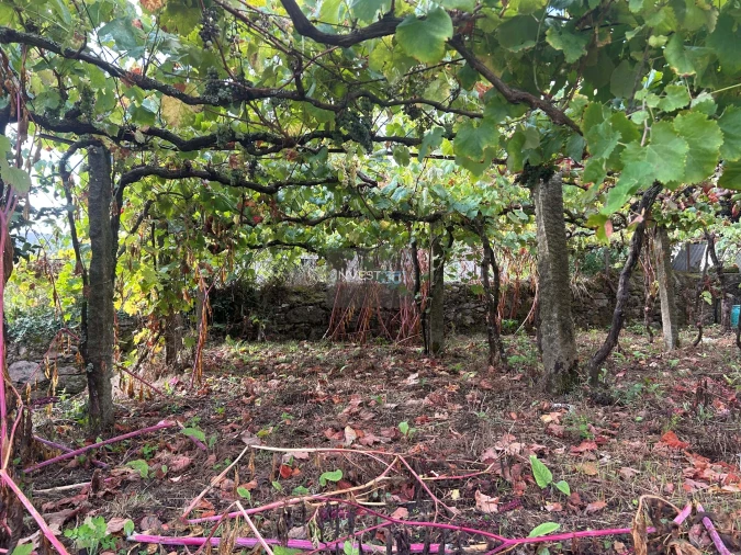 Moradia T4 para Venda em Covas Foto 6