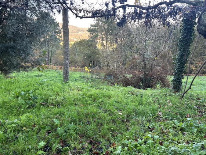 Moradia T3 para Venda em Covas Foto 25