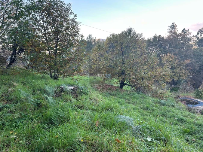 Moradia T3 para Venda em Covas Foto 5