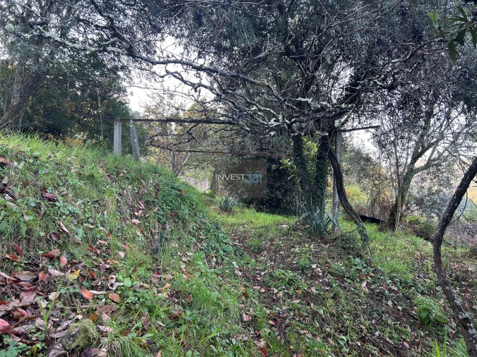 Moradia T3 para Venda em Covas Foto 18