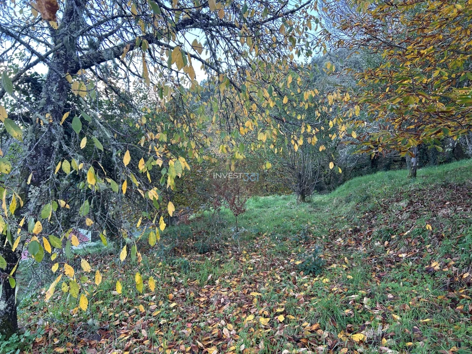 Moradia T3 para Venda em Covas Foto 14