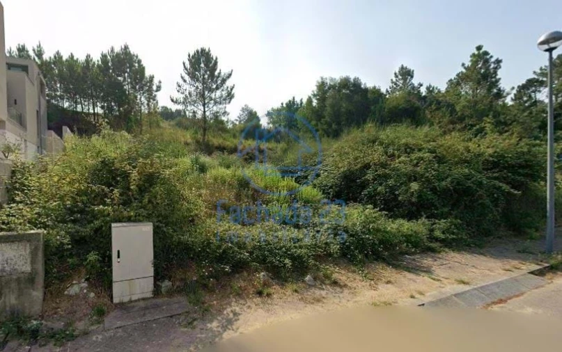 Terreno para Venda em Pinheiro da Bemposta, Travanca e Palmaz Foto 5