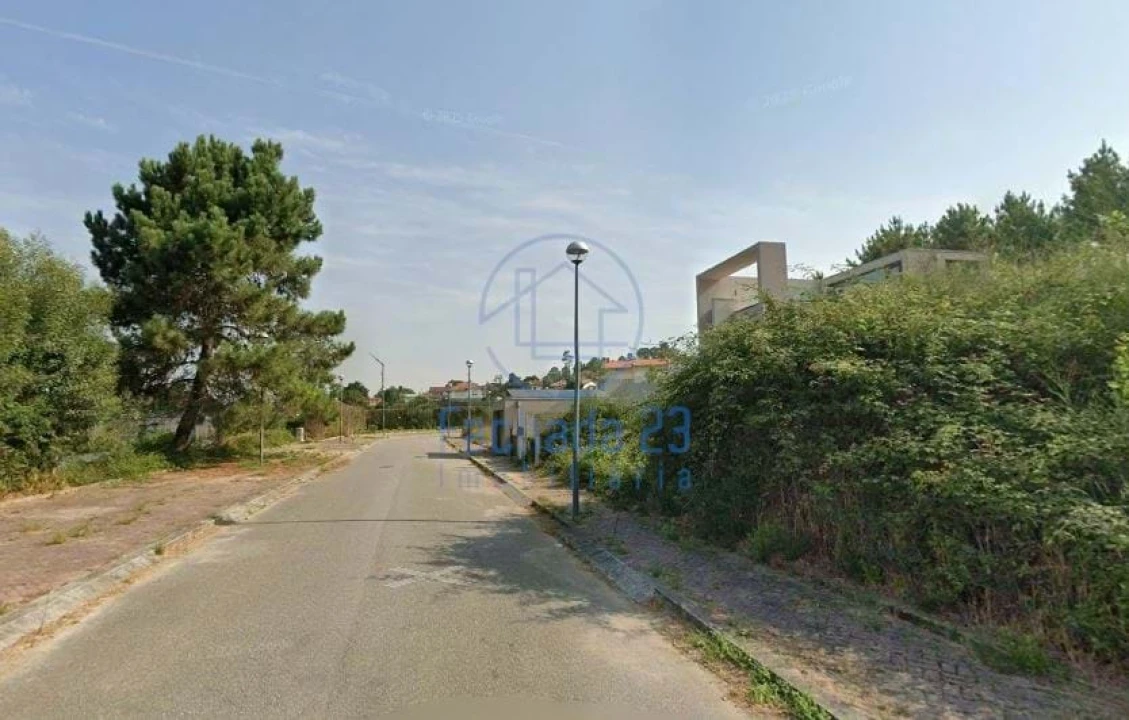 Terreno para Venda em Pinheiro da Bemposta, Travanca e Palmaz Foto 6