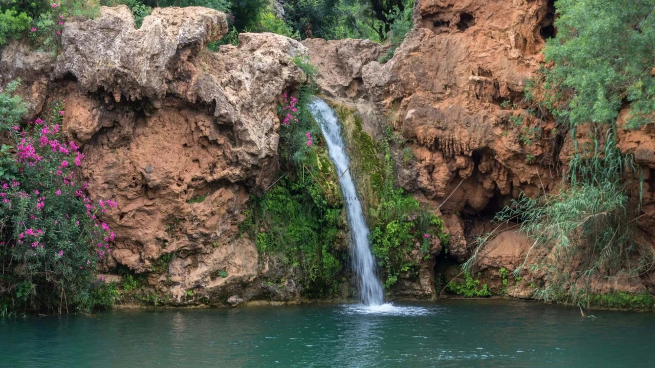 Apartamento T2 para Venda em Santo Estêvão Foto 4