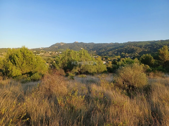 Terreno para Venda em Agualva e Mira-Sintra Foto 12
