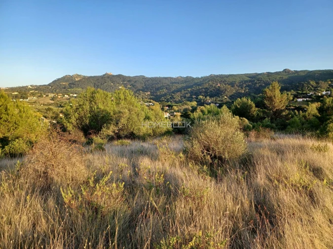 Terreno para Venda em Agualva e Mira-Sintra Foto 13
