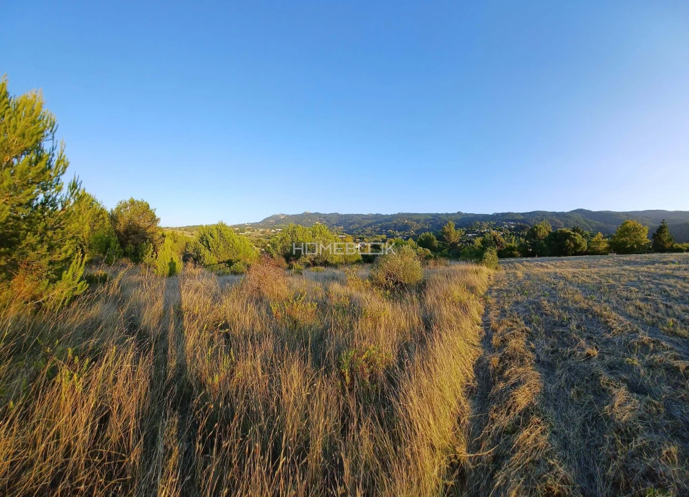 Terreno para Venda em Agualva e Mira-Sintra Foto 3