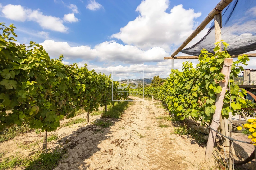 Quinta T2 para Venda em Constance Foto 22