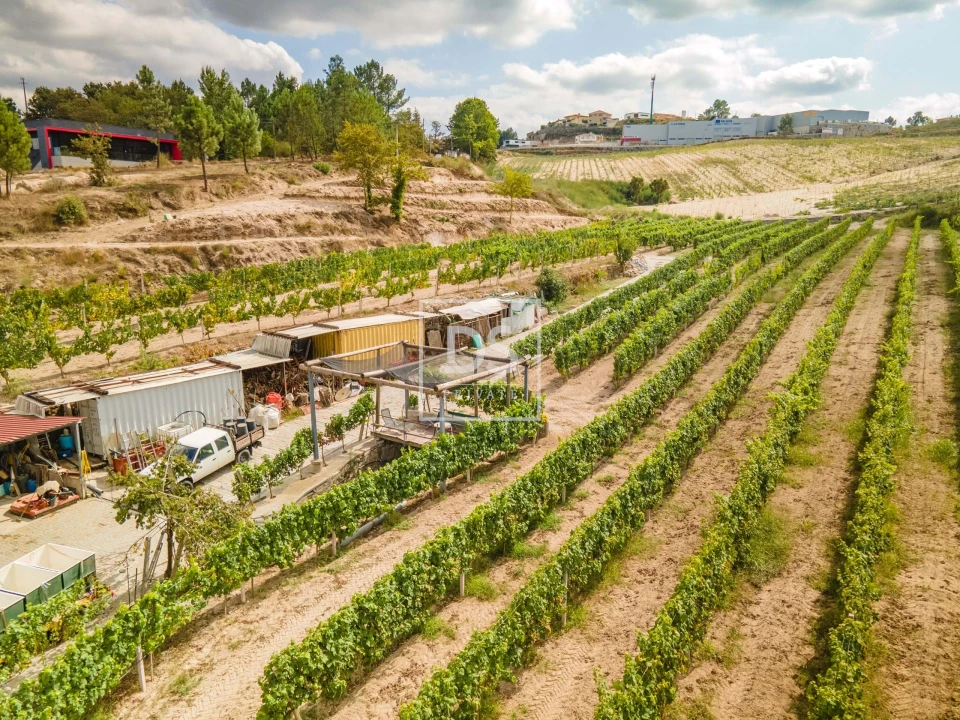 Quinta T2 para Venda em Constance Foto 31